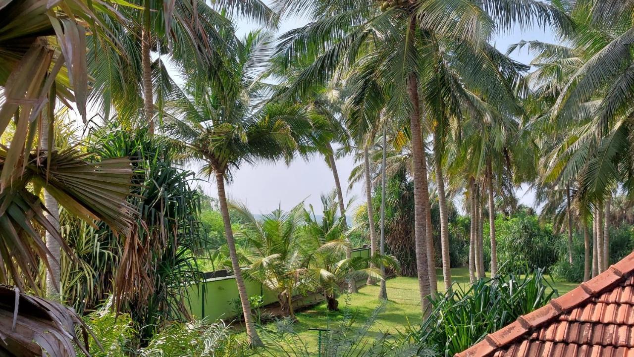 Bandulas Beach House Хиккадува Экстерьер фото
